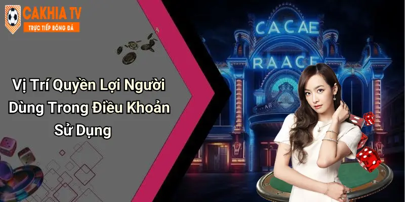 Vị Trí Quyền Lợi Người Dùng Trong Điều Khoản Sử Dụng